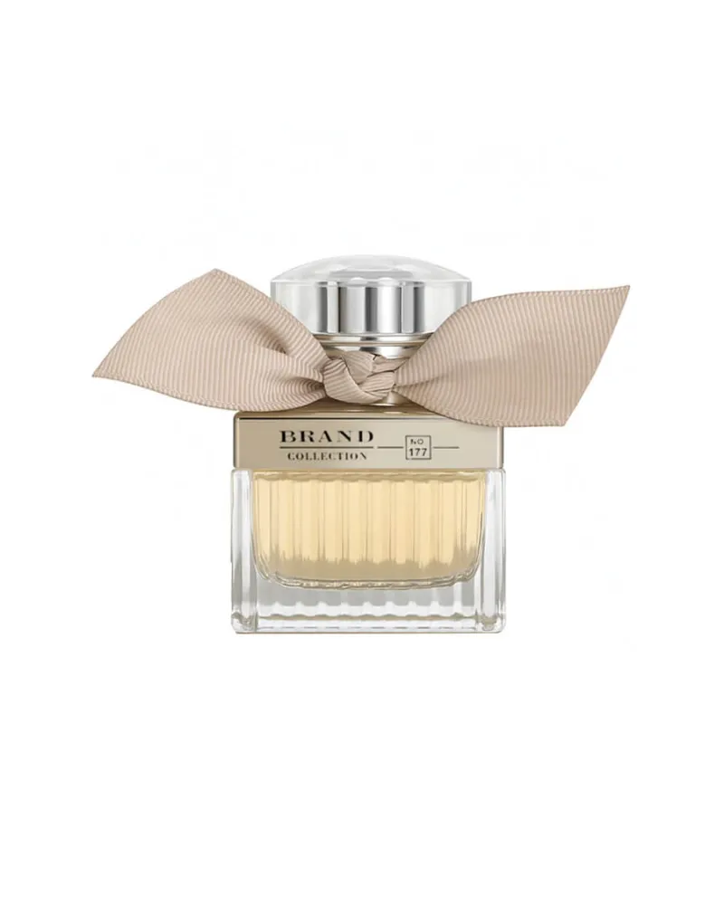 Dream Brand Collection 177
